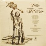 画像2: DAVID / UPRISING (2)