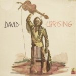 画像1: DAVID / UPRISING (1)