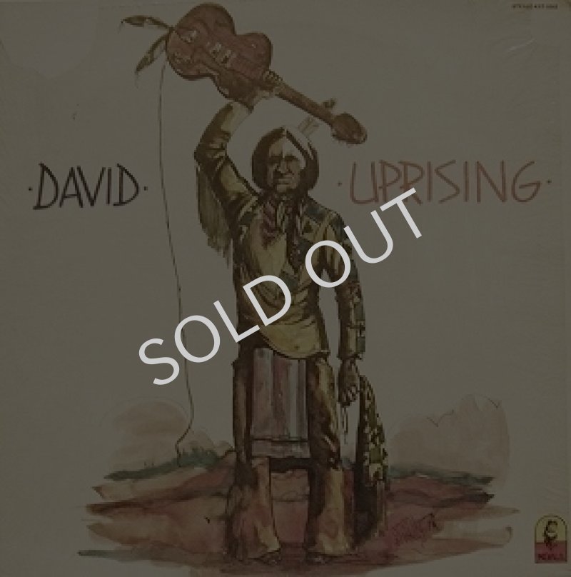 画像1: DAVID / UPRISING (1)