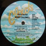 BOBBY CALDWELL / CAT IN THE HAT