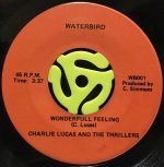 CHARLIE LUCAS AND THE THRILLERS / WONDERFUL FEELING