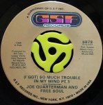 JOE QUARTERMAN AND FREE SOUL / (I GOT) SO MUCH TROUBLE IN MY MIND