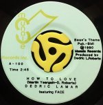 DEDRIC LAMAR / HOW TO LOVE