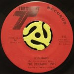 THE DYNAMIC TINTS / BE MY LADY