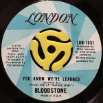 BLOODSTONE / YOU KNOW WE'VE LEARNED