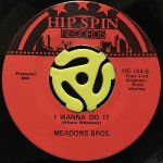 MEADOWS BROS. / GET ON DOWN (LIKE SOUL FOLKS DO)