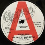 THE DESTINY ORCHESTRA / SPRING RAIN