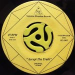 DARWIN'S THEORY ‎/ ACCEPT THE TRUTH (REMIX)