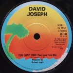 DAVID JOSEPH / YOU CAN'T HIDE (YOUR LOVE FROM ME)