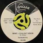 THE LINTONS - WHAT I COULDN'T KNOW (INSTRUMENTAL)