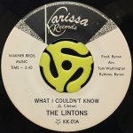 THE LINTONS - WHAT I COULDN'T KNOW