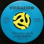 DEREK MARTIN ‎- HOW CAN I GET AWAY / THAT'S WHAT I'LL DO