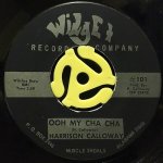 HARRISON CALLOWAY - OOH MY CHA CHA