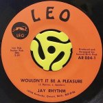 JAY RHYTHM ‎- WOULDN'T IT BE A PLEASURE / SOUL EMOTIONS