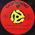 ROBERT EVANS & UNIVERSAL LOVE - YOU CAN'T STOP ME FROM LOVING YOU (PART I & II) / (INST.)