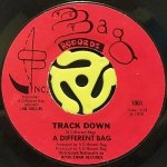 A DIFFERENT BAG ‎- LETS PUT IT TOGETHER (SHAKE YOUR BOOTIE) / TRACK DOWN