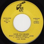 画像2: LUV BUGS ‎- BLOW MY HORN (BEEP BEEP) / HAVE YOU HEARD WHAT I  HEARD ABOUT LOVE (2)