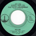 画像2: THE FIFTH AMENDMENT - PLEASE DON'T LEAVE ME NOW / GOT YOU WHERE I WANT YOU  (2)