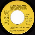 画像2: THE WILSON BROTHERS - THERE HAS BEEN SOME CHANGE / YOU TOOK MY FUTURE AWAY  (2)