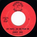 画像2: JIMMY BEE - HOT PANTS / HOT PANTS - DO YOU WEAR EM  (2)