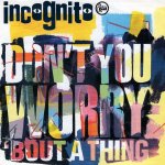 画像1: INCOGNITO - DON'T YOU WORRY 'BOUT A THING (EDIT) / COLIBRI (REMIX)  (1)