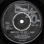 画像2: THE JACKSON 5 - THE LIFE OF THE PARTY / WHATEVER YOU GOT, I WANT  (2)