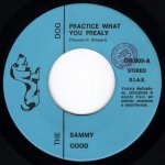 画像1: THE SAMMY GOOD - PRACTICE WHAT YOU PREALY / FULTON COUNTY  (1)