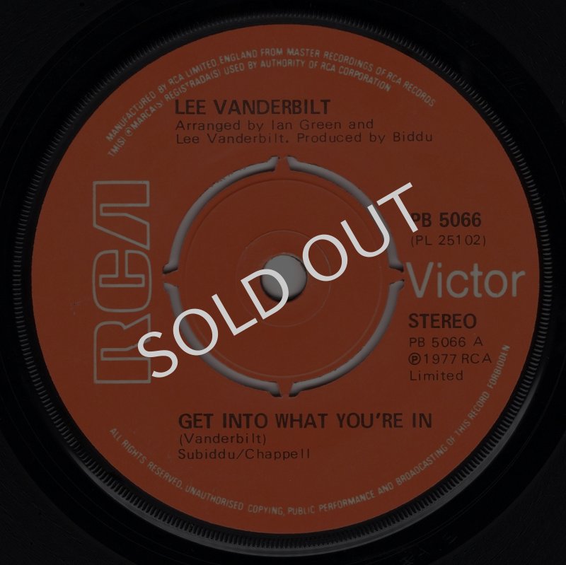 画像1: LEE VANDERBILT - GET INTO WHAT YOU'RE IN / FUNKY TROPICAL  (1)