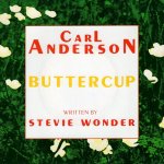 画像1: CARL ANDERSON - BUTTERCUP (RADIO EDIT) / AMOUR  (1)