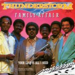 画像1: THUNDERSTORM - FAMILY AFFAIR / YOUR LOVE IS ALL I NEED  (1)