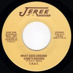 画像1: T.H.A.T. - WHAT GOES AROUND COME'S AROUND / LADY, LADY  (1)