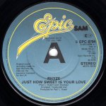 画像1: RHYZE - JUST HOW SWEET IS YOUR LOVE / I FOUND LOVE IN YOU  (1)