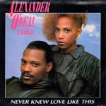 画像1: ALEXANDER O'NEAL FEATURING CHERRELLE - NEVER KNEW LOVE LIKE THIS / NEVER KNEW LOVE LIKE THIS (A CAPPELLA)  (1)