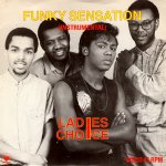 画像1: LADIES CHOICE - FUNKY SENSATION (MID-TEMPO MIX) / FUNKY SENSATION (INSTRUMENTAL)  (1)