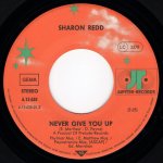 画像2: SHARON REDD - IN THE NAME OF THE LOVE / NEVER GIVE YOU UP  (2)