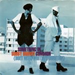 画像1: BOBBY BROWN (DUET WITH WHITNEY HOUSTON) - SOMETHING IN COMMON (RADIO EDIT) / SOMETHING IN COMMON (QUIET STORM VERSION)  (1)