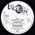 画像3: PARADISE - LOVE IS THE ANSWER / JUST CAN'T STOP  (3)