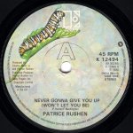 画像1: PATRICE RUSHEN - NEVER GONNA GIVE YOU UP (WON'T LET YOU BE) / DON'T BLAME ME  (1)