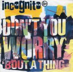 画像1: INCOGNITO - DON'T YOU WORRY 'BOUT A THING (EDIT) / COLIBRI (REMIX)  (1)