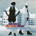 画像1: BOBBY BROWN (DUET WITH WHITNEY HOUSTON) - SOMETHING IN COMMON (RADIO EDIT) / SOMETHING IN COMMON (QUIET STORM VERSION)  (1)