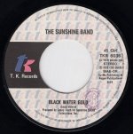 画像2: THE SUNSHINE BAND - BLACK WATER GOLD / BLACK WATER GOLD (PT. 2)  (2)