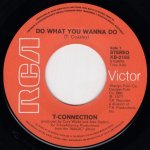 画像2: T-CONNECTION - DO WHAT YOU WANNA DO / MOTHER'S LOVE  (2)