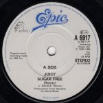 画像2: JUICY - SUGAR FREE (REMIX) / FOREVER & EVER  (2)