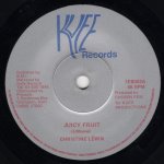 画像1: CHRISTINE LEWIN - JUICY FRUIT / JUICY DUB  (1)