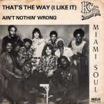 画像1: KC & THE SUNSHINE BAND - THAT'S THE WAY (I LIKE IT) / AIN'T NOTHIN' WRONG  (1)