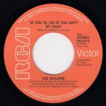 画像2: JOE BOURNE - IS YOU IS, OR IS YOU AIN'T MY BABY / THE B-SIDE  (2)