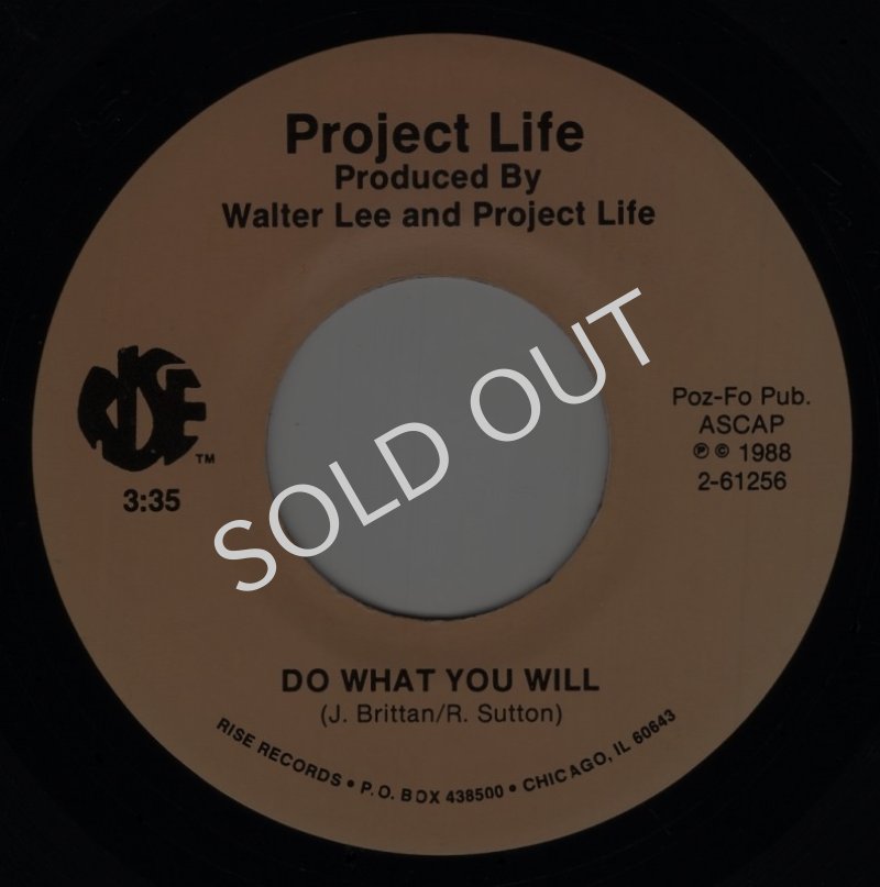 画像1: PROJECT LIFE - DO WHAT YOU WILL / DO WHAT YOU WILL (REMIX)  (1)