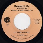 画像2: PROJECT LIFE - DO WHAT YOU WILL / DO WHAT YOU WILL (REMIX)  (2)