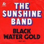 画像1: THE SUNSHINE BAND - BLACK WATER GOLD / BLACK WATER GOLD (PT. 2)  (1)