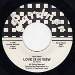 画像1: DAVID NEVIN - LOVE IS IN VIEW / SHINE  (1)